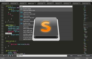 Giới thiệu về các Editor dùng để lập trình PHP Sublime-text-300x195