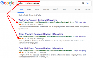 allinurl produce reviews Tìm với Google allinurl-produce-reviews-Tìm-với-Google-300x189