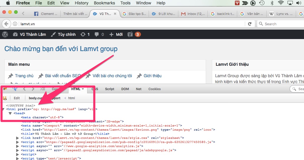 Google đọc trang Web của bạn như thế nào: Chiên Dza SEO không thể biết lamvt-website-html