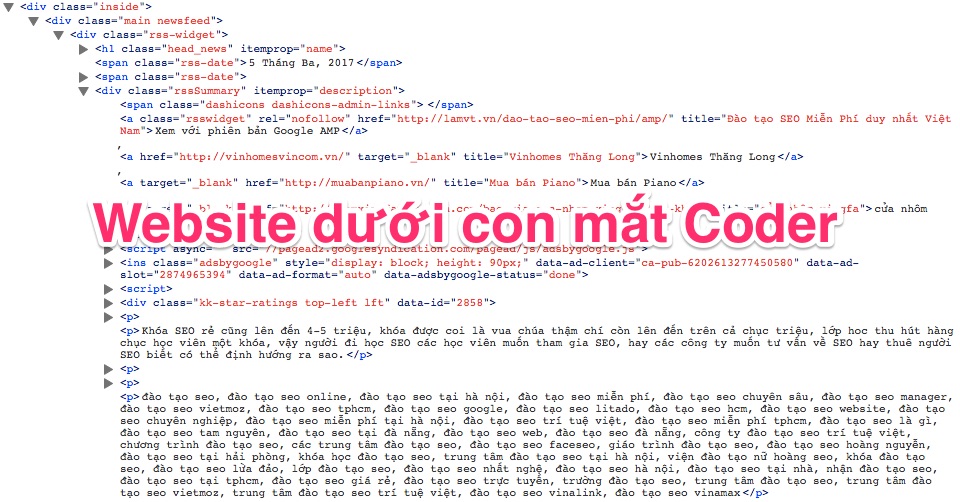 Google đọc trang Web của bạn như thế nào: Chiên Dza SEO không thể biết website-lamvt-coder