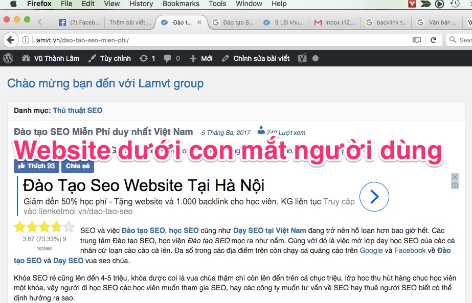 Google đọc trang Web của bạn như thế nào: Chiên Dza SEO không thể biết website-lamvt