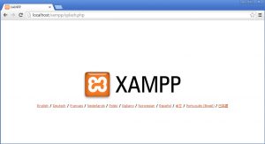 xampp-home xampp-home-300x163