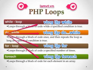 loop loop-300x225