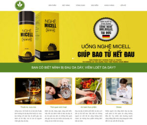 landing-page-nghe-micell landing-page-nghe-micell-300x255