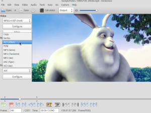 video editing avidemux 2 video-editing-avidemux-2-300x225