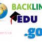 Mẹo có được Backlink .edu và .gov hiệu quả nhất