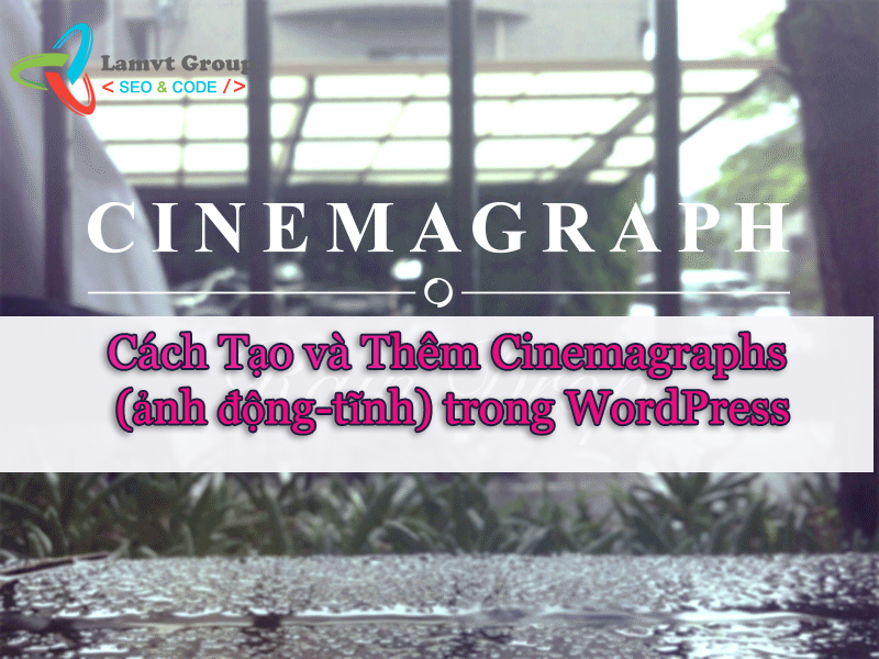 Cách Thêm Cinemagraphs (ảnh động-tĩnh) trong WordPress Cinemagraph-in-wordpress