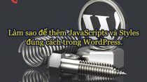 Them JavaScripts va Styles dung cach trong WordPress
