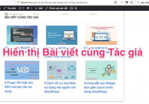 hien-thi-bai-viet-cung-tac-gia hien-thi-bai-viet-cung-tac-gia-300x211