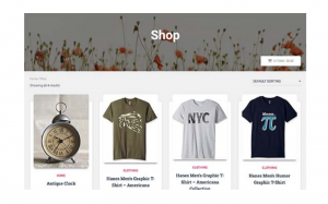 shop shop-300x187