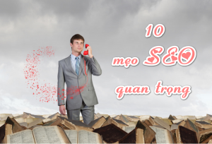 meo-seo meo-seo-300x204