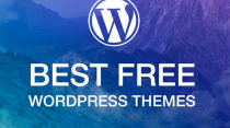 Theme WordPress