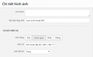 meo-va-thu-thuat-seo meo-va-thu-thuat-seoa-300x185