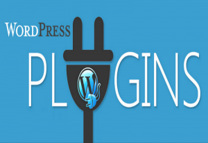 loi-wordpress 3 loi-wordpress-3-300x206