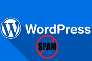 loi-wordpress loi-wordpress-6-300x200