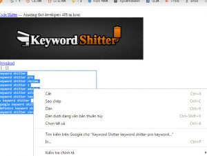 tong-hop-keyword-shitter-tren-google-drive-4 tong-hop-keyword-shitter-tren-google-drive-4-300x226