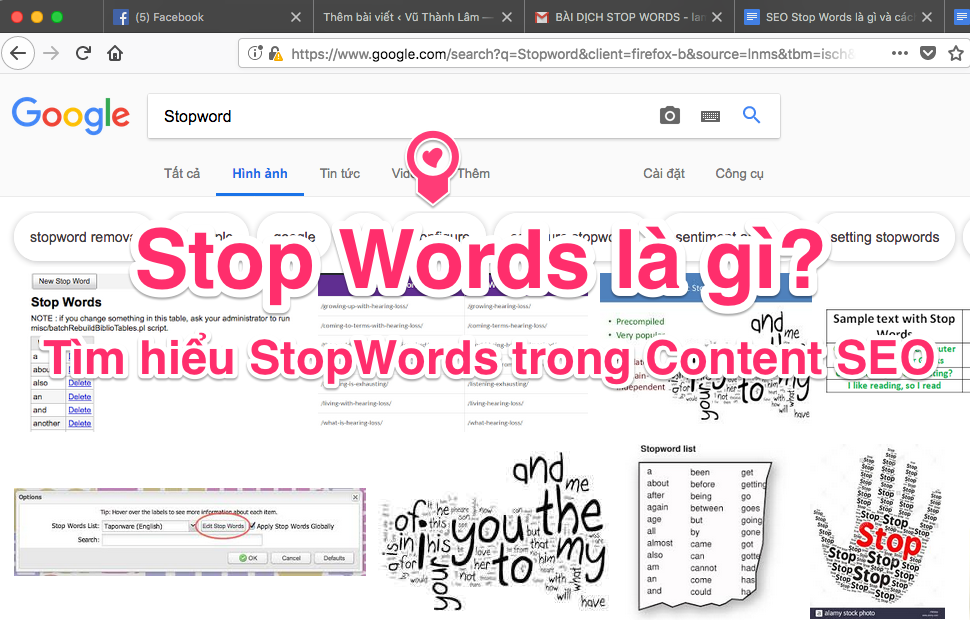 Stop Words là gì? Tầm quan trọng StopWords trong Content SEO Stopword