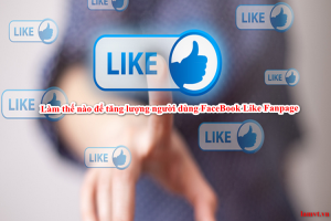 Làm thế nào để tăng lượng người dùng FaceBook Like Fanpage