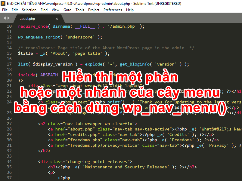 Hiển thị một phần hoặc một nhánh của cây menu bằng wp_nav_menu() hien-thi-mot-phan-hoac-mot-nhanh-cua-cay-menu-bang-cach-su-dung-wp_nav_menu-2