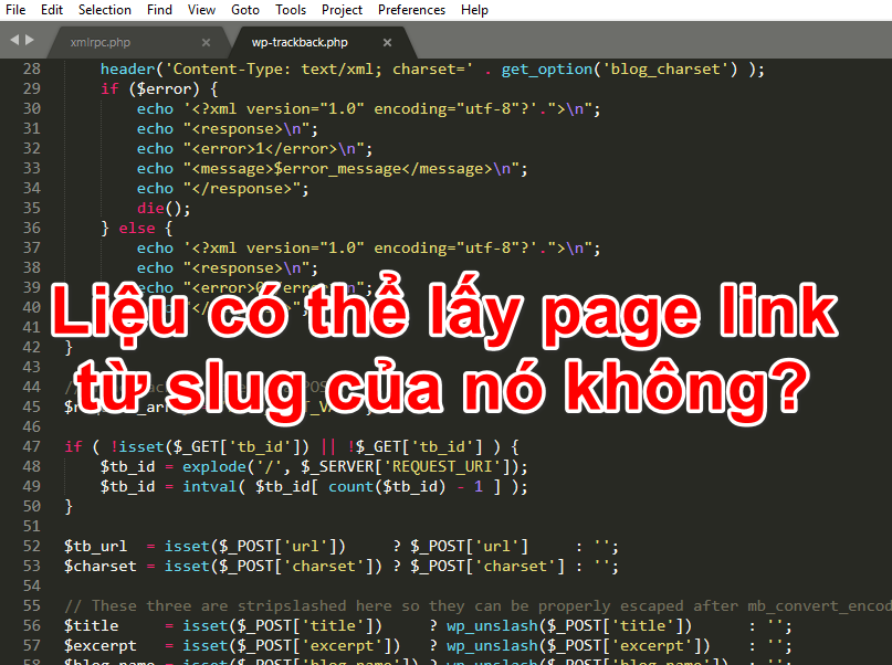 Liệu có thể lấy page link từ slug của nó không? lieu-co-the-lay-page-link-tu-slug-cua-no-khong