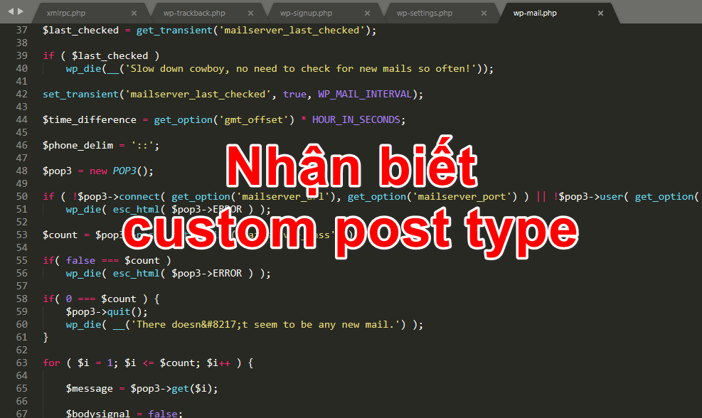 Nhận biết Custom Post Type trong WordPress nhan-biet-custom-post-type