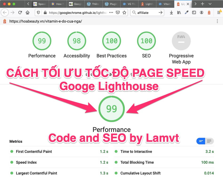 Cách tối ưu tốc độ Google Page Speed, Googe Lighthouse 100 Điểm Google_Lighthouse_Report_Viewer