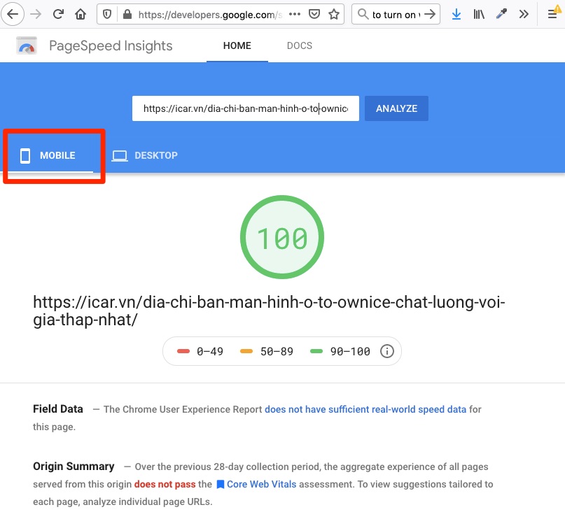 Điểm số Google Lighthouse và Bằng chứng thực tế PageSpeed_Insights_icar